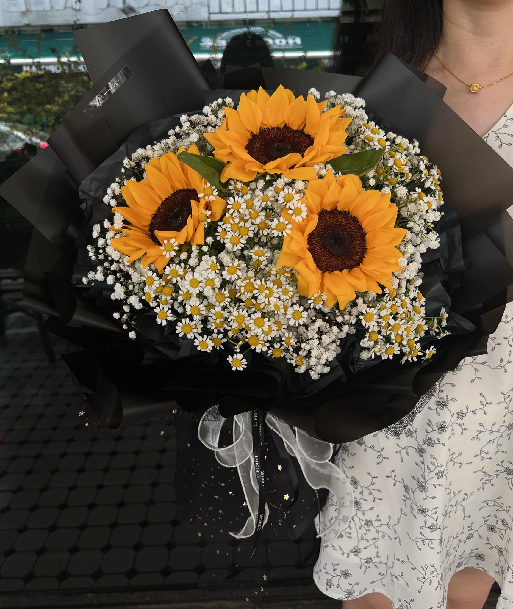 Midnight Sunshine Trio Sunflower