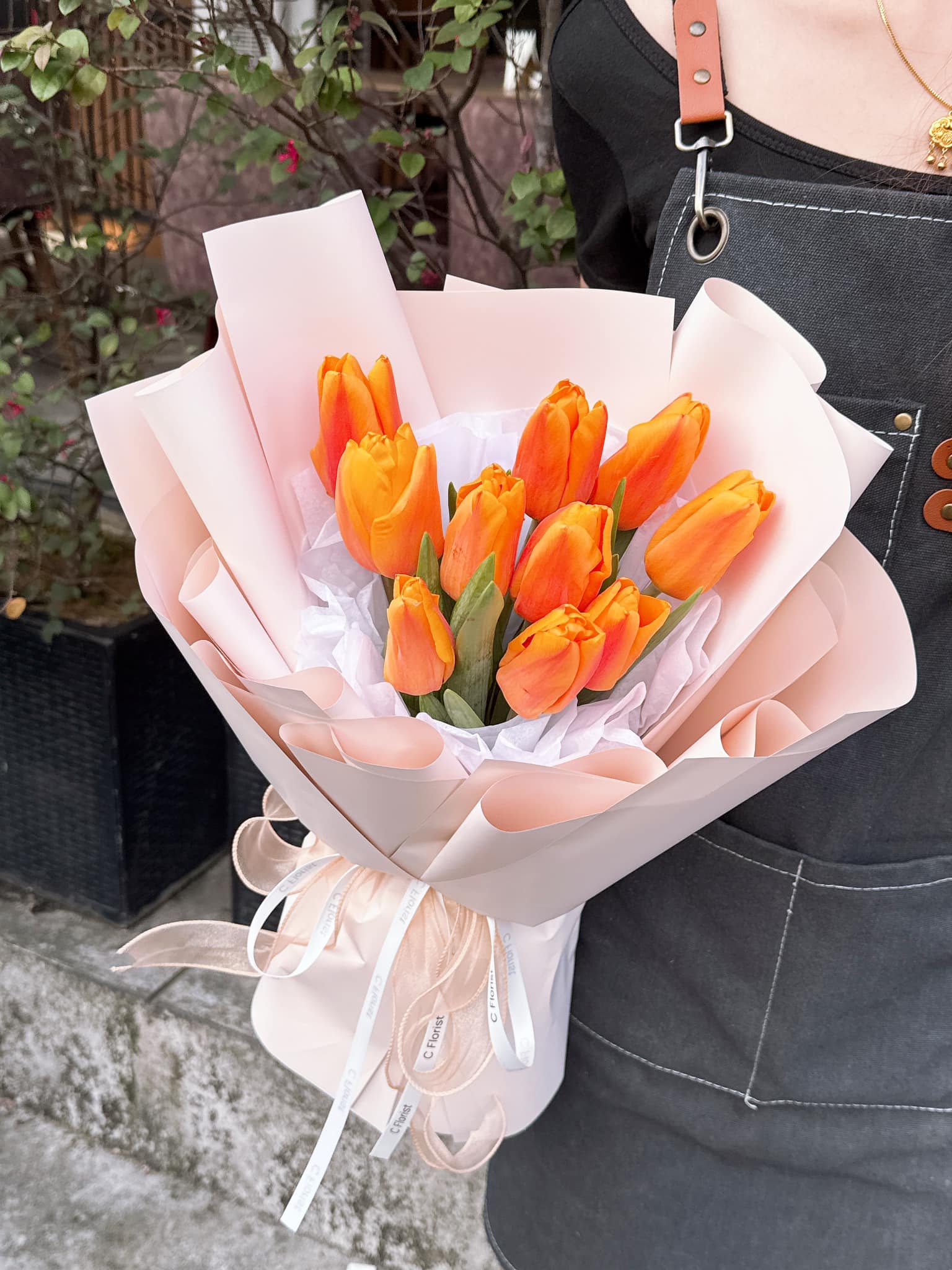 Sunny Spark Tulip