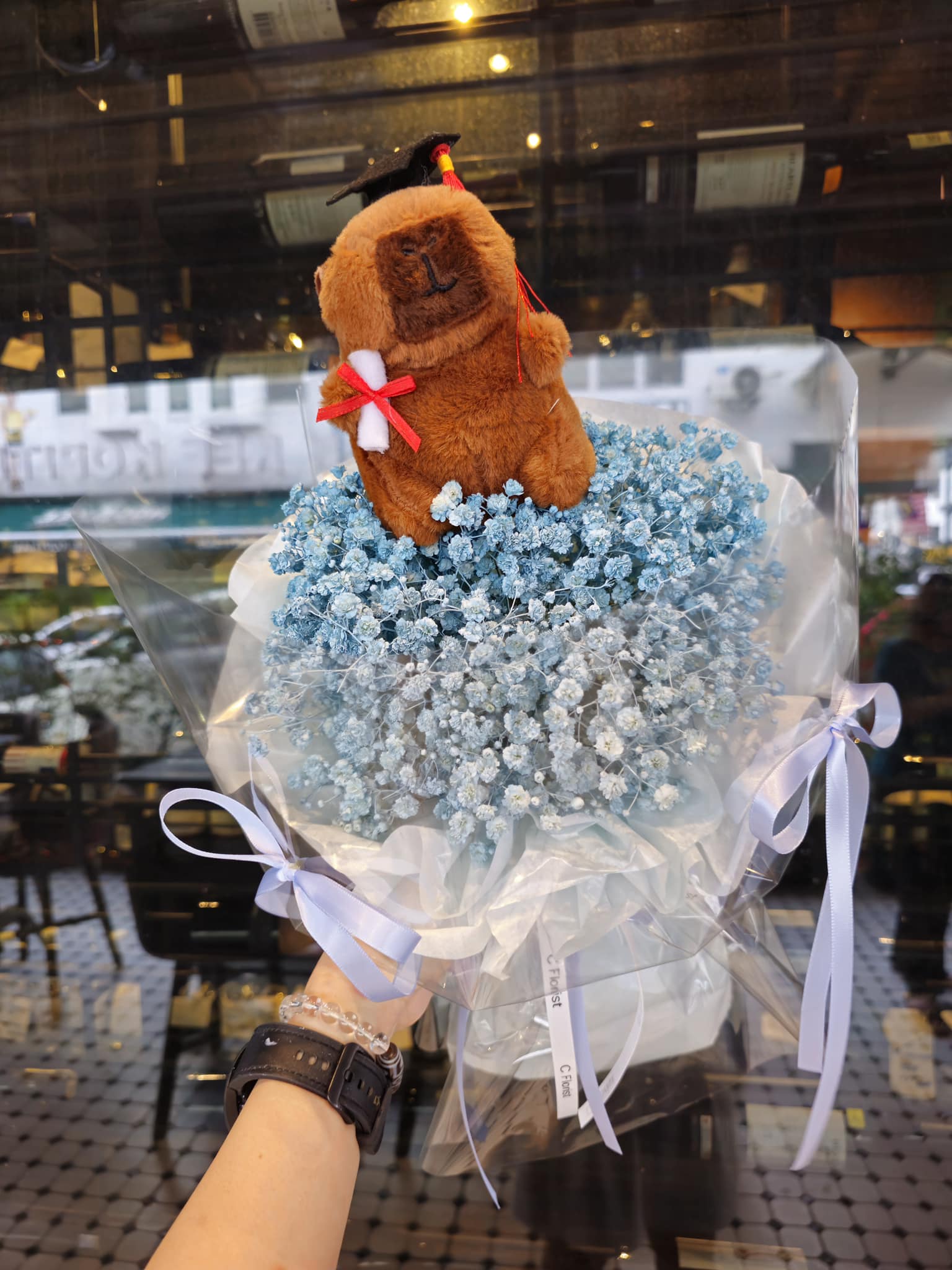 Capybara Baby Breath Graduation