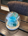 Single Preserved Rose Glass Jar