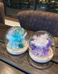 Single Preserved Rose Glass Jar