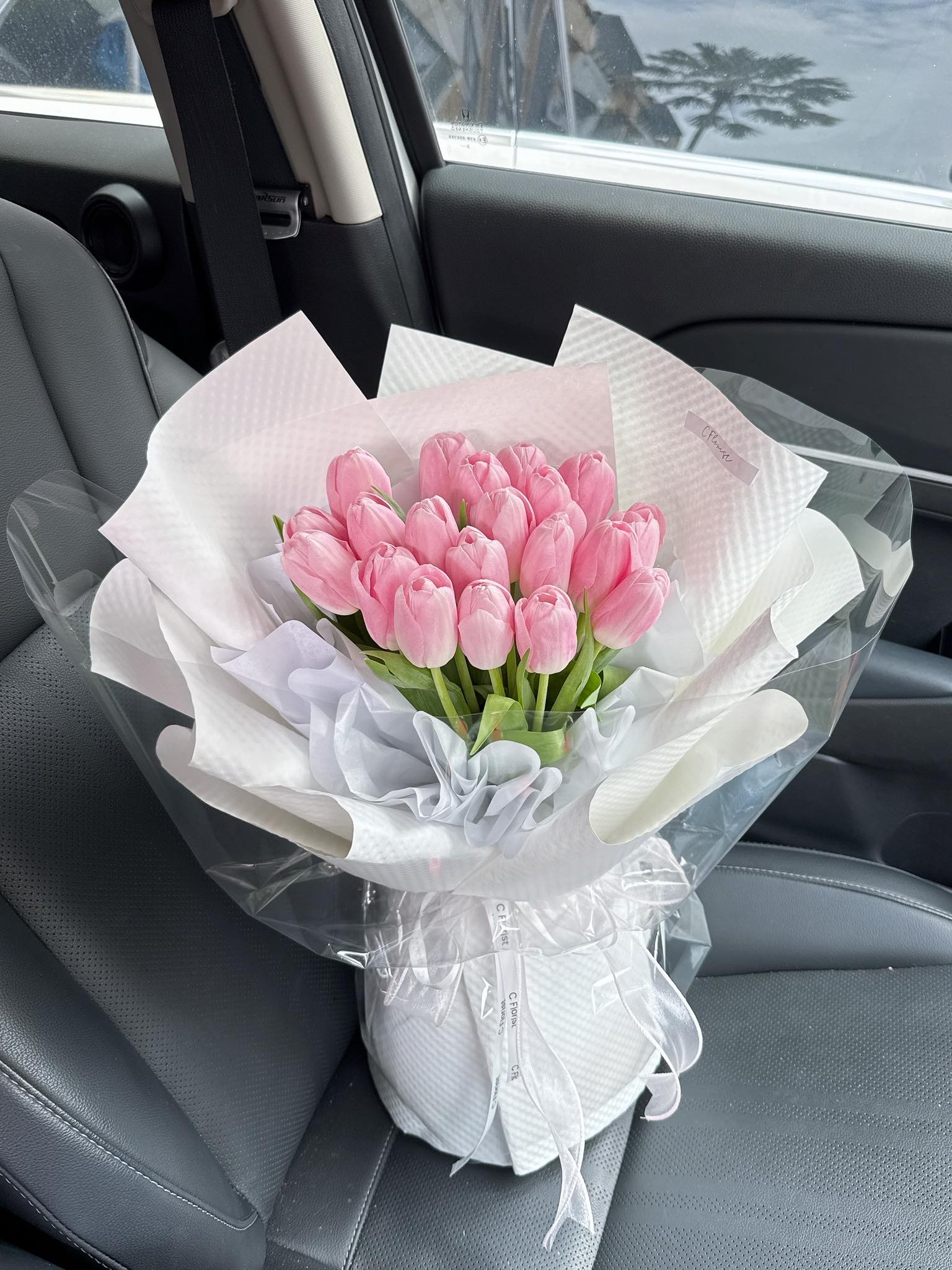 Pink Symphony Tulip