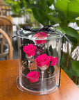 Preserved Rose Acyclic Box