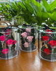 Preserved Rose Acyclic Box