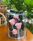 Preserved Rose Acyclic Box