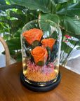 Preserved Rose Glass Jar