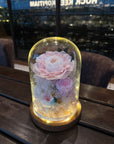Preserved Rose Glass Jar